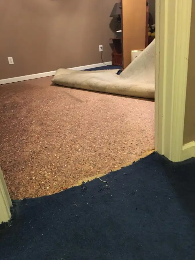 Carpet pad removal revealing water damage during Drying & Dehumidification in Idylwood