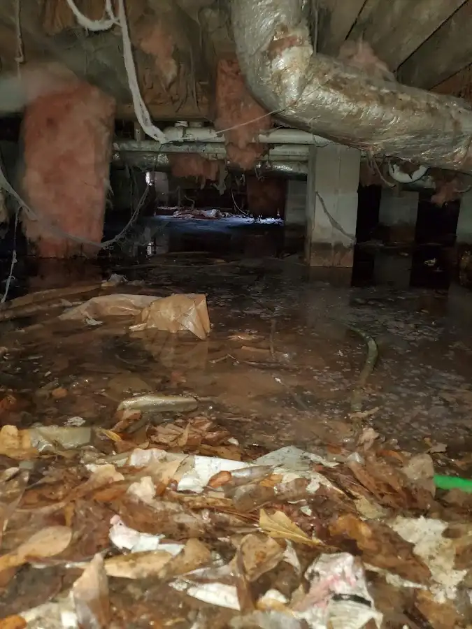 Crawl space flood assessment for Commercial Water Damage Restoration in Idylwood