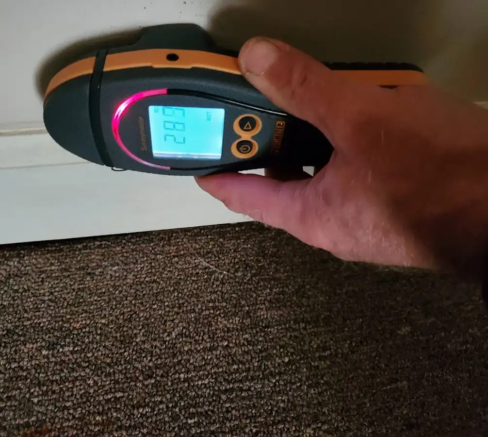 Moisture detection at baseboard during Burst Pipe Cleanup in Idylwood